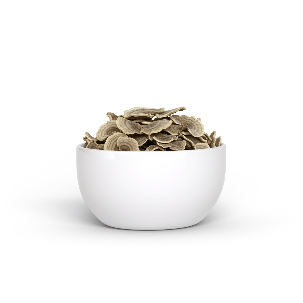 Organic Turkey Tail Mushroom (15 g)